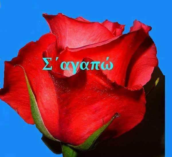  Τα δυό της χείλη.