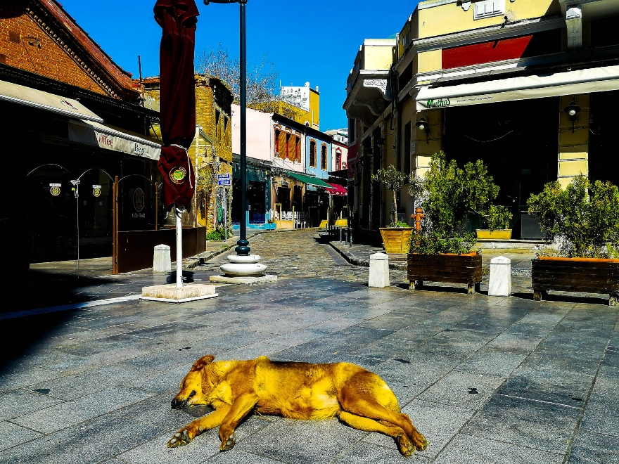 Θεσσαλονίκη