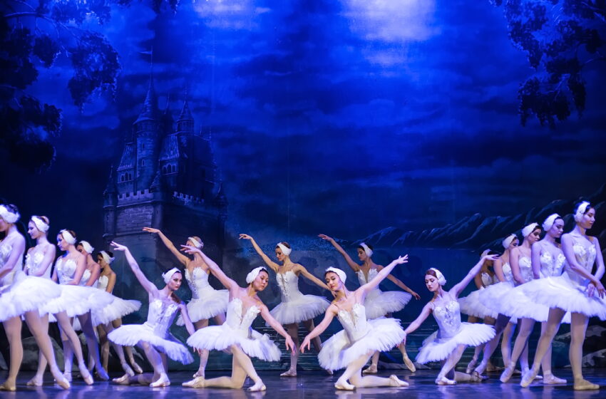  ΚΗΠΟΘΕΑΤΡΟ ΑΛΚΑΖΑΡ  ΛΑΡΙΣΑ        ROYAL CLASSICAL BALLET  ‘’ΗΛΙΜΝΗΤΩΝΚΥΚΝΩΝ‘’